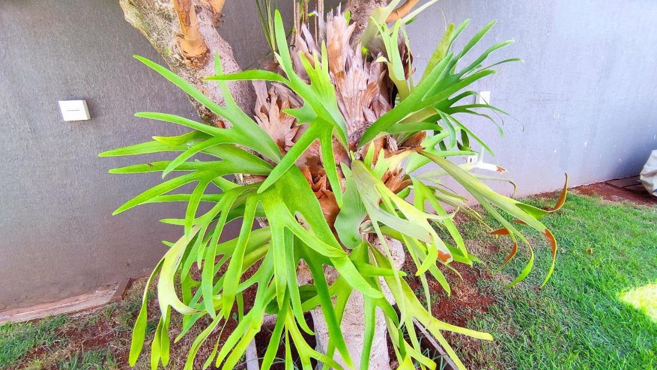 フォス・ド・イグアス Linda Casa Bairro Tranquilo Prox Cataratasヴィラ エクステリア 写真
